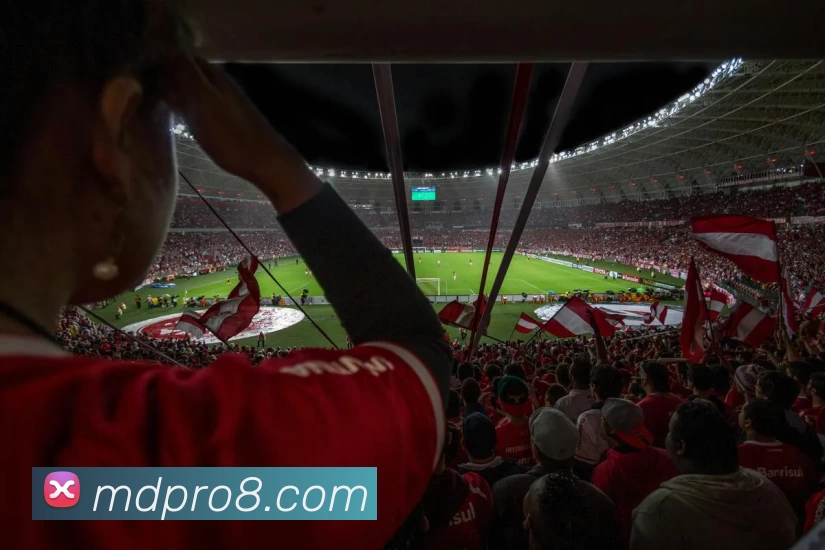 摩登体育官网APP 封面图